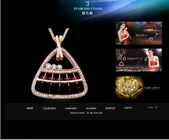 罗湖网站建设 珠宝网站建设 珠宝网站设计 珠宝网页设计 珠宝