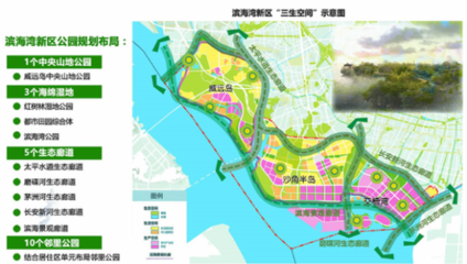 东莞:暂停滨海湾新区各类建设行为 获批未建的也将暂停